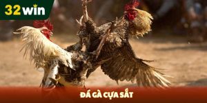 ĐÁ GÀ - 32win