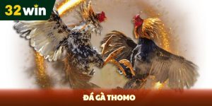 32Win | Link enter Nổ Hũ Bắn Cá Casino Game Bài 32win | 2026