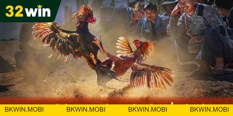 Đá Gà Thomo - Chiến Lược Chơi Game Nhanh Thắng Tại 32Win
