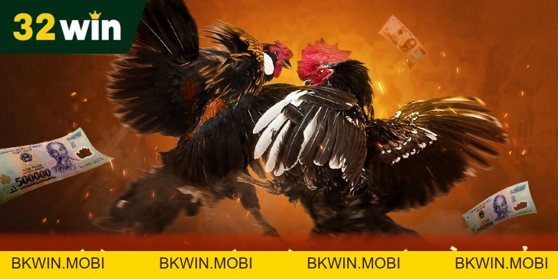 Đá Gà Thomo - Chiến Lược Chơi Game Nhanh Thắng Tại 32Win