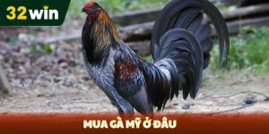 32Win | Link enter Nổ Hũ Bắn Cá Casino Game Bài 32win | 2026